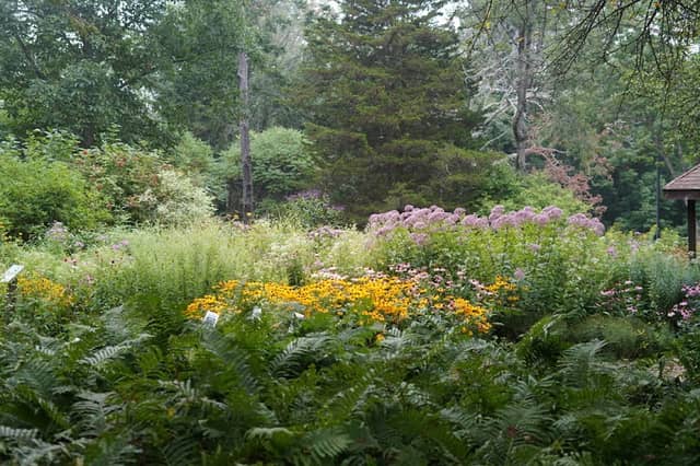 Richard D. Haley Native Plant Wildlife Gardens - Image 1