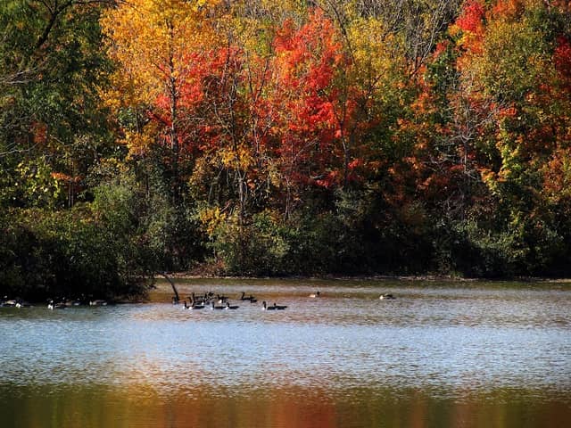 Sylvan Glen Lake Park - Image 3