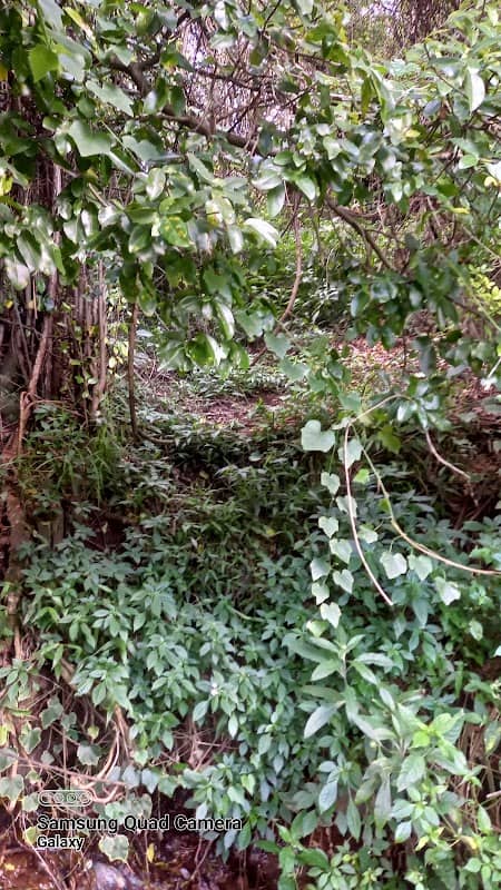 Gitwe Gathanje Springs - Image 2