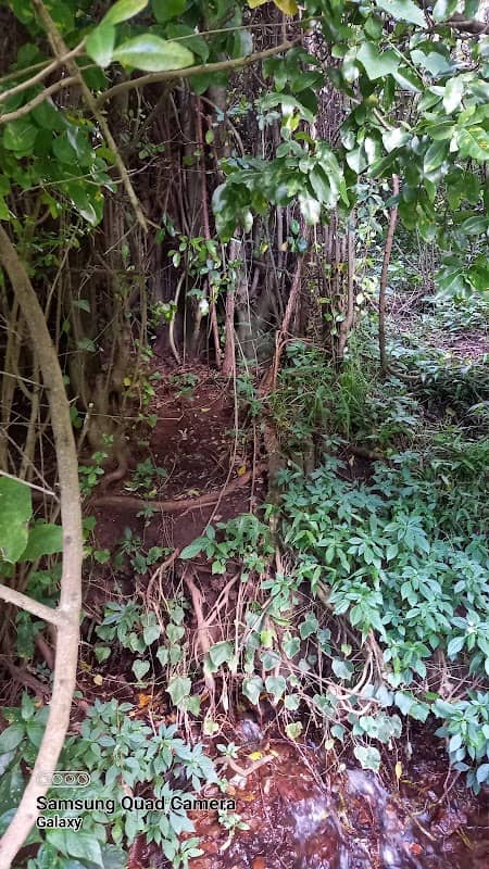 Gitwe Gathanje Springs - Image 1