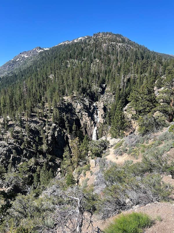 Sonora Pass Sign - Image 2