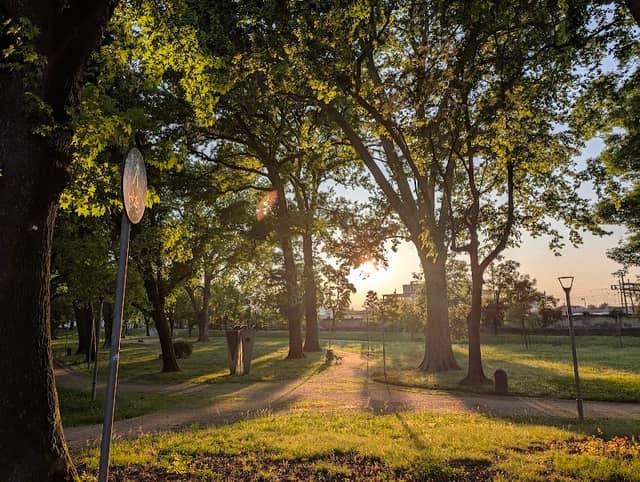 Parco Kennedy - Image 1