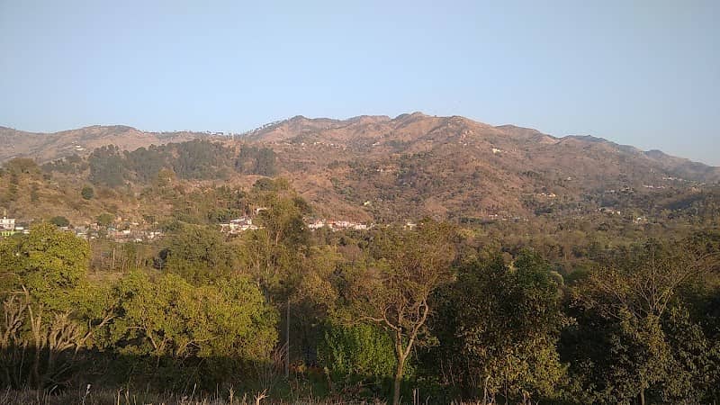 Cheel view - Image 1