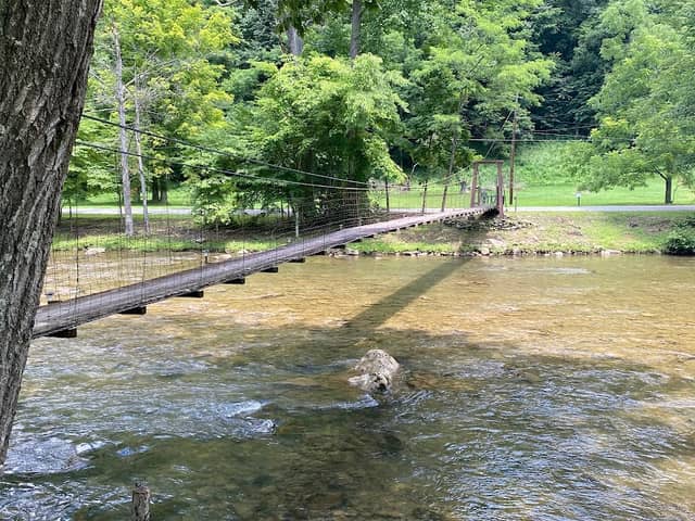 Lover’s Lane Boardwalk - Image 2