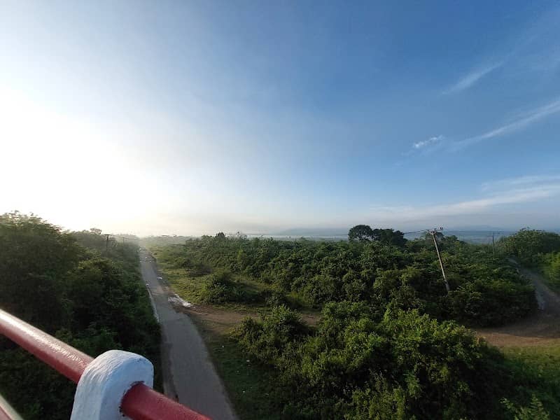 Kebun pinang - Image 2