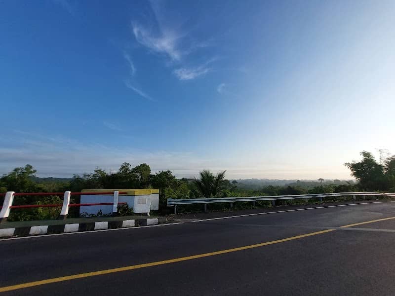 Kebun pinang - Image 1