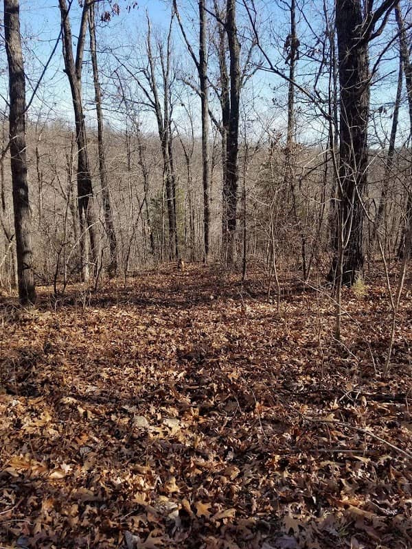 Pleasant Hope Conservation Area - Image 1
