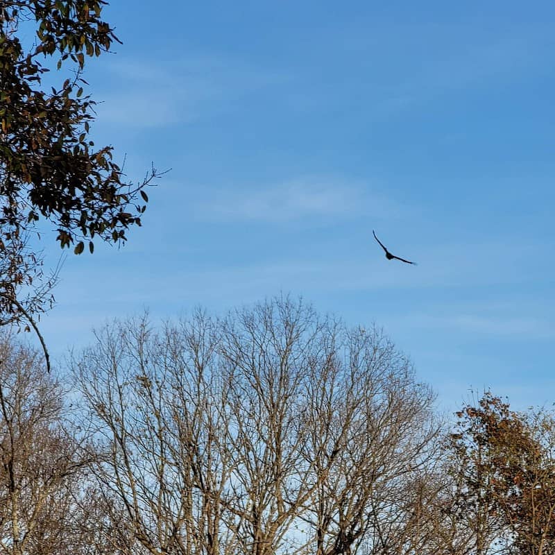 Leavenworth Roadside Park - Image 2