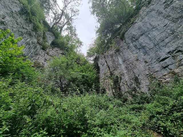 National Trust - Ebbor Gorge National Nature Reserve - Image 3