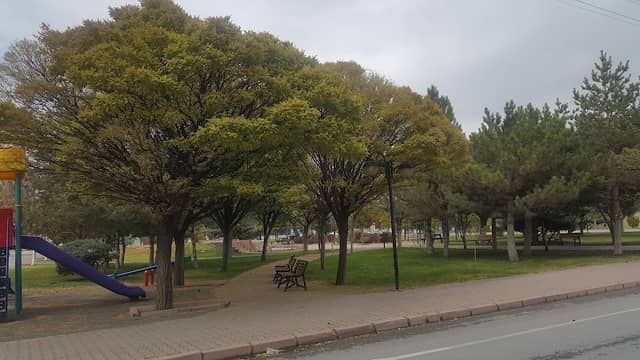 Park - Image 1