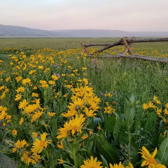Flat Ranch Preserve - Image 3