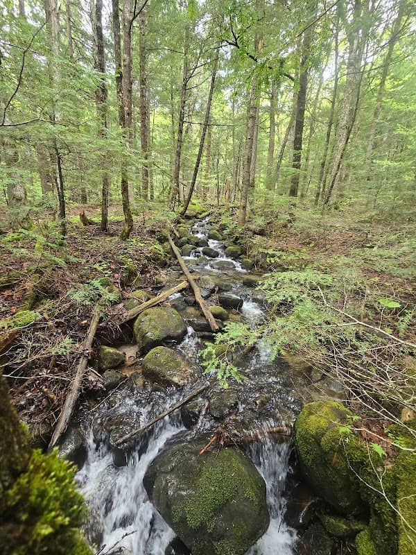 Houston Brook Falls - Image 1