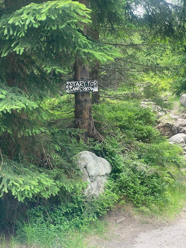 na stary tor saneczkowy - Image 2