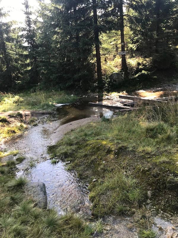 na stary tor saneczkowy - Image 1