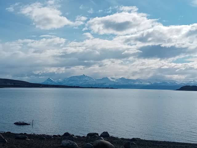 Mirador Lago Argentino - Image 1