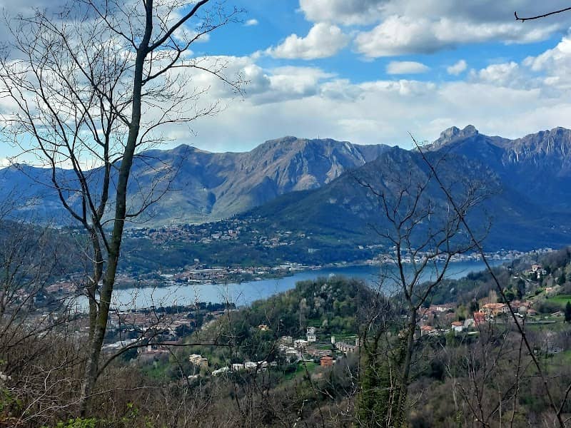 San Carlo - Image 2