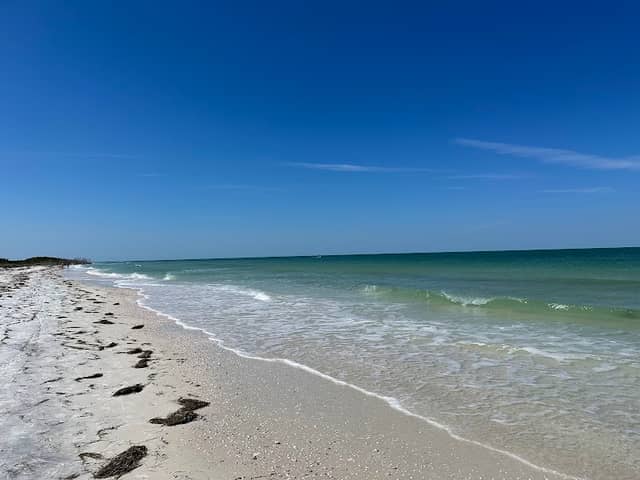 Honeymoon Island State Park - Image 3