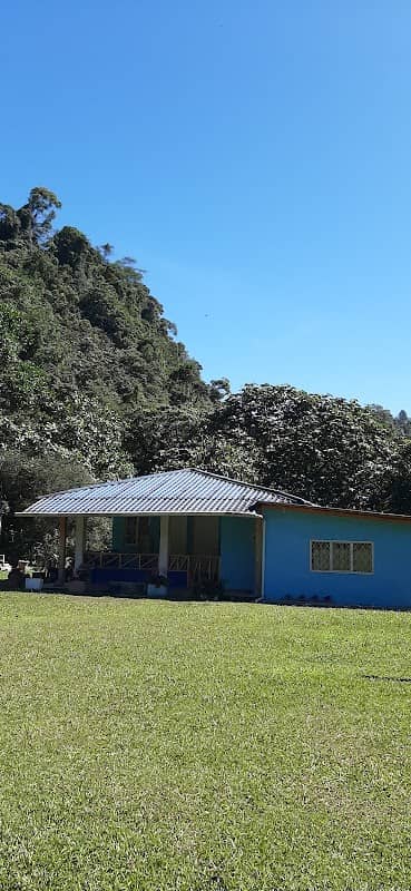 Piedra grande el Magnate - Image 1