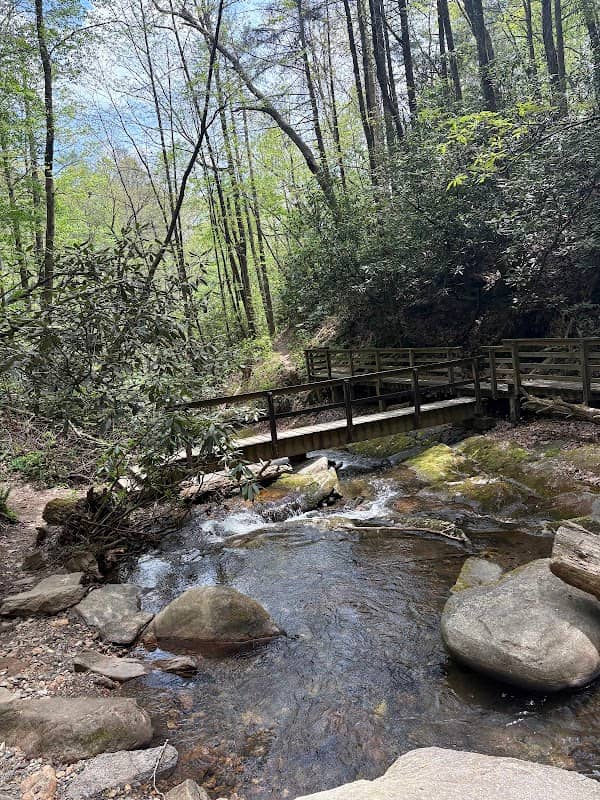 Martin Creek Falls - Image 1