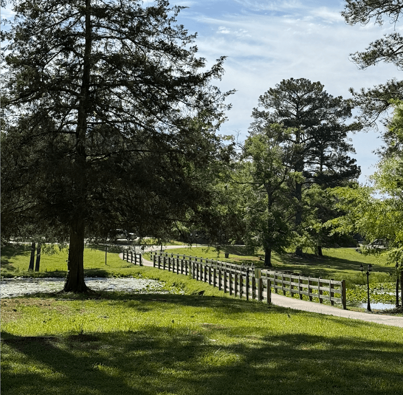 Old City Arboretum - Image 2