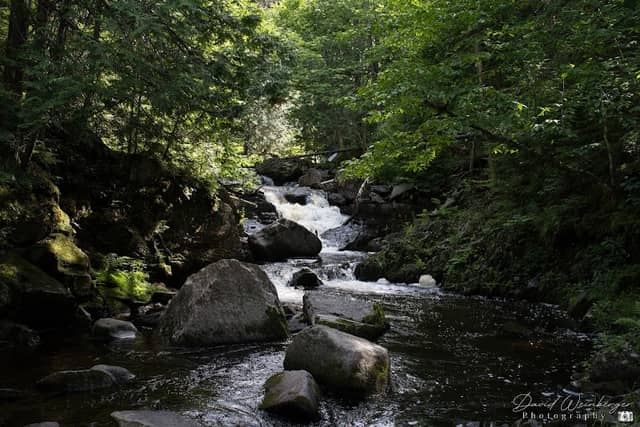 Maggie's Falls (walk-in only) - Image 2