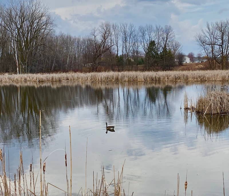 Menasha Conservancy Area - Image 2