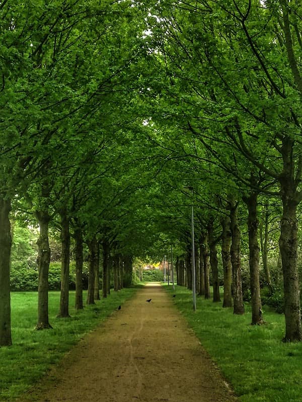 Molenakkerpark - Image 1