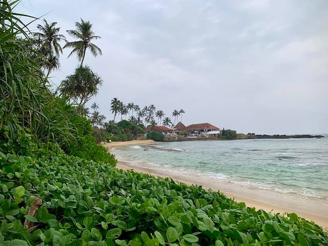 Turtle beach Entrance - Image 3