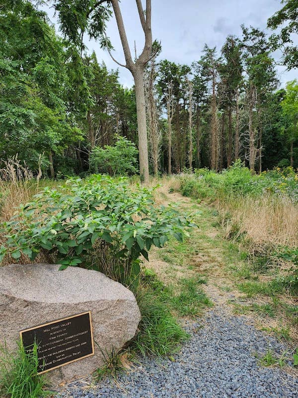 Mill Pond Valley Trail - Image 2