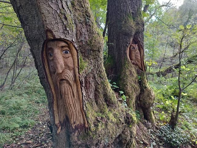 Holzskulpturen im Wald - Image 1