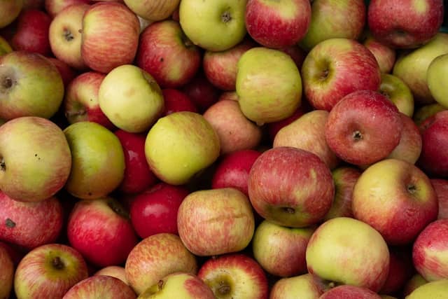 Monroe's Orchard - Image 1