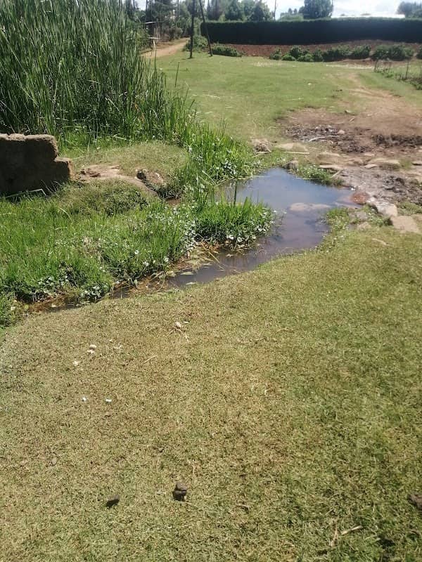 Gathima springs community borehole - Image 1