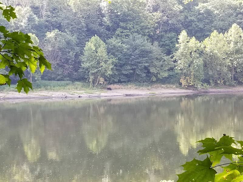 MC-2 River Campsite - Image 2