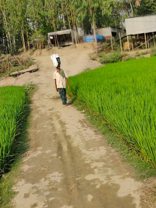 আব্দুল্লাহপাড়া বিল পাড় - Image 1