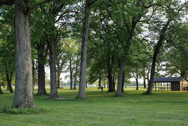 Ford-Harris Park - Image 2