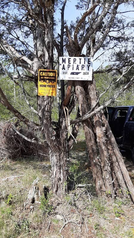 Mertie Apiary - Image 1