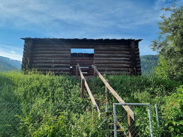 Cabane aux oiseaux - Image 1