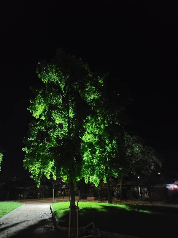 San Agustín Park - Image 2