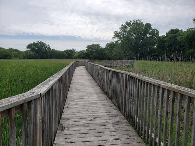 Springbrook Nature Center - Image 1