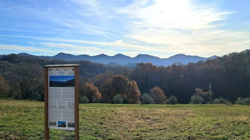 Percorso nel paesaggio storico e culturale tra Brenta e Piave - Image 1