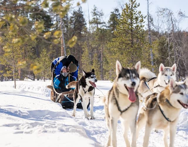 Activity Bookings Saariselkä by Wilderness Hotels - Image 2