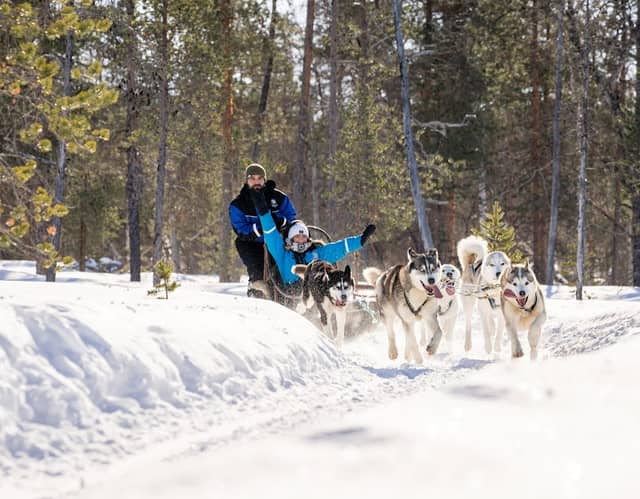 Activity Bookings Saariselkä by Wilderness Hotels - Image 1