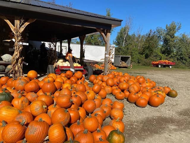 Chloemeadow Farms - Image 1