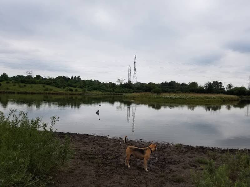 East Branch Forest Preserve - Image 2