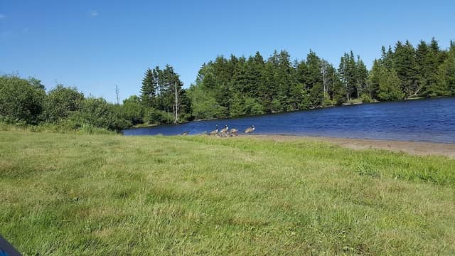 Little River Reservoir Park - Image 1