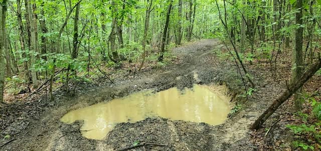 Sheltowee Trace- McKee Trailhead - Image 1