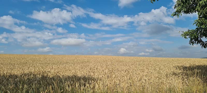 Landschaftsschutzgebiet"Hirschgrund" - Image 2