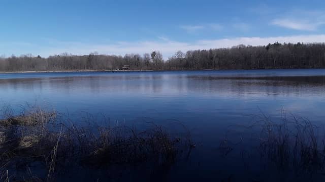 Jeptha Lake Fen - Image 1