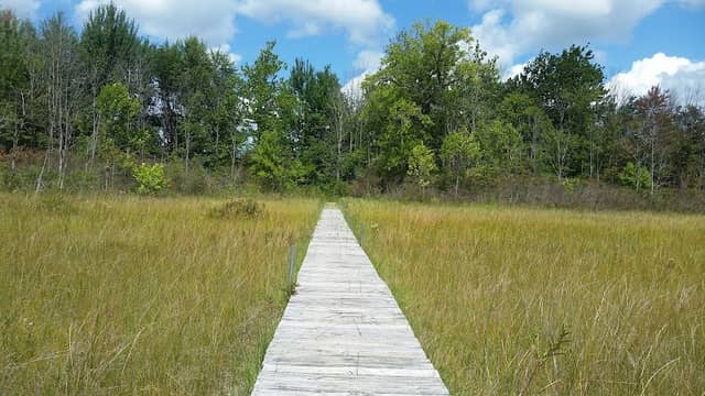 Jeptha Lake Fen - Image 2