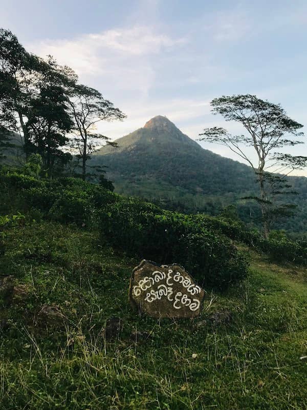 Hulangala(හුලන්ගල) - Image 2